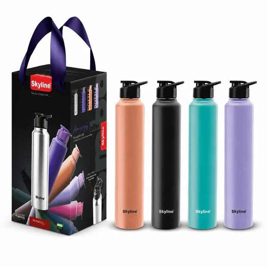 Skyline 4-Pack Stainless Steel Water Bottles