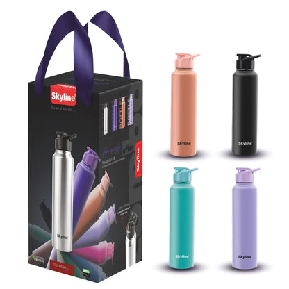 Skyline 4-Pack Stainless Steel Water Bottles