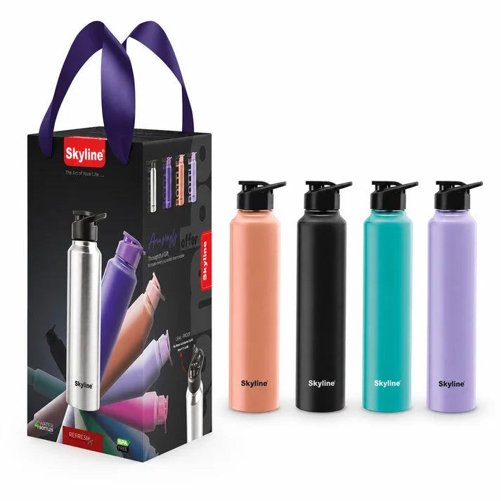 Skyline 4-Pack Stainless Steel Water Bottles