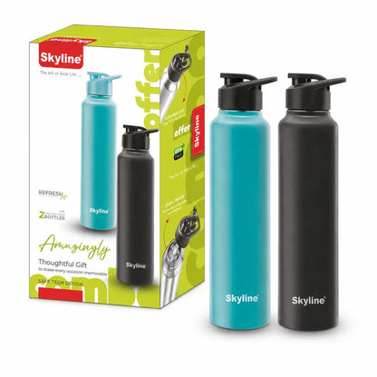 Skyline 2-Pack Stainless Steel Water Bottles