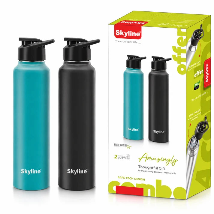 Skyline 2-Pack Stainless Steel Water Bottles
